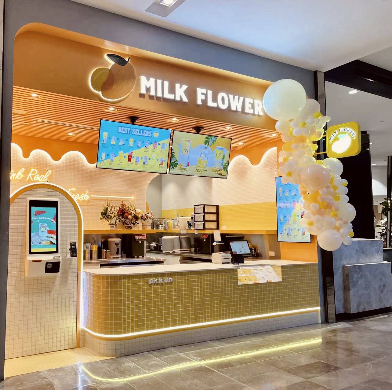 MILK FLOWER